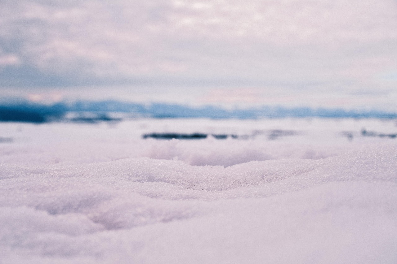 Winter Snow Nature - Free photo on Pixabay - Pixabay