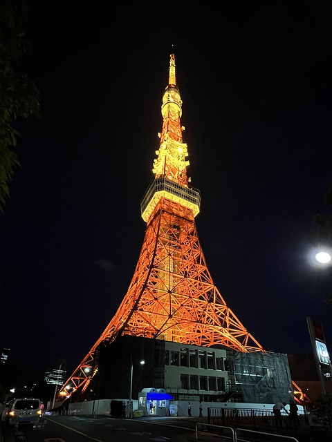 Free Tokyo Tower Light Up photo and picture