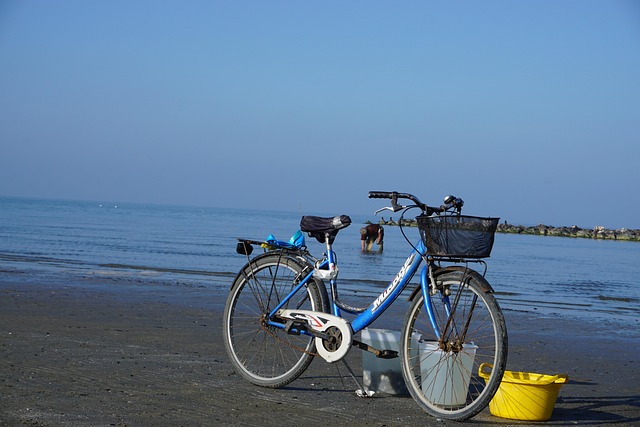 Free Bicycle Fisherman photo and picture