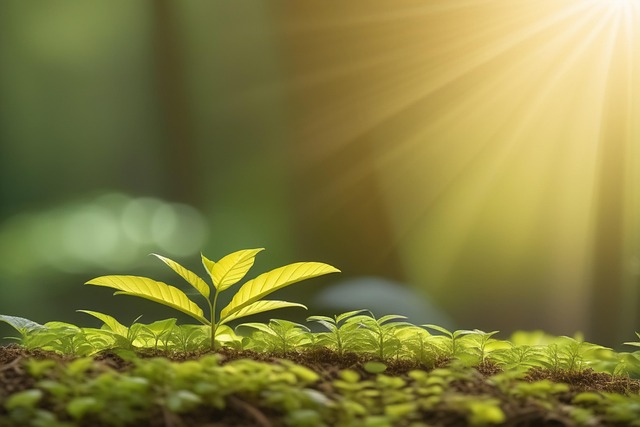 Free growth plant nature illustration