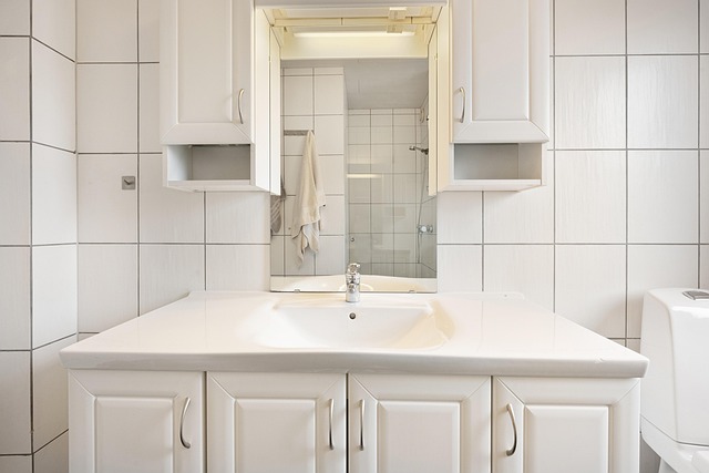 Kitchen Dining Area Sink - Free photo on Pixabay
