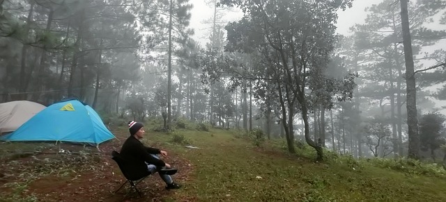 Free Forest Path photo and picture