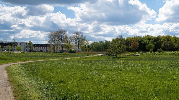 Landskab, Boligområde, Levende, Natur