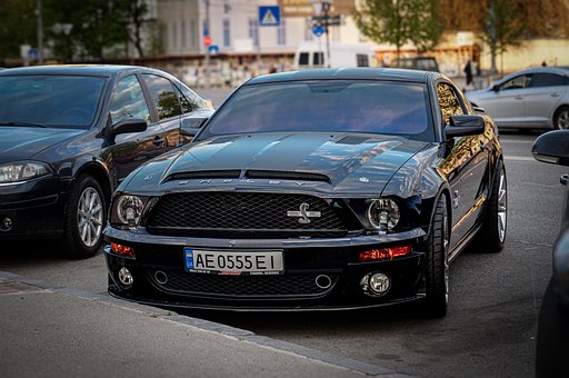 Free Ford Shelby photo and picture