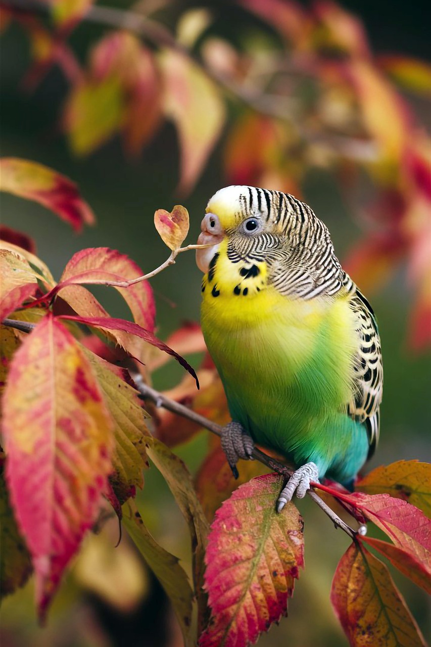 Download ai generated bird parakeet royalty free stock illustration