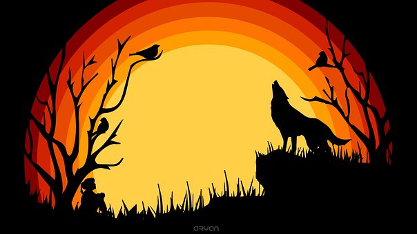 Adobe, Ilustrador, Gráficos, Projeto
