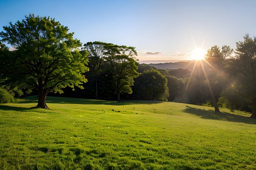 Sommer, Natur, Himmel, Landskab, Solrig