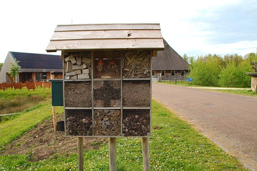 Free Insect Hotel Bee Hotel photo and picture