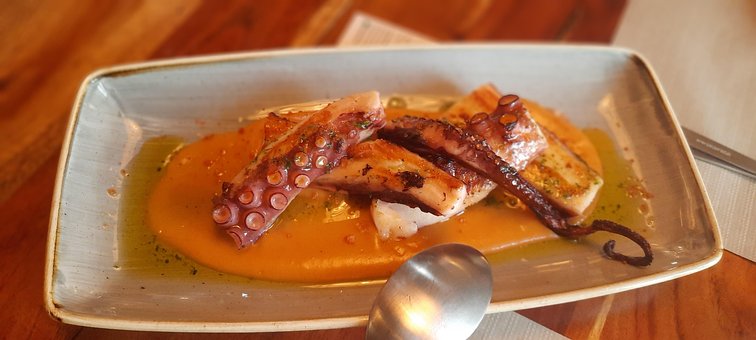 Free Food Octopus photo and picture