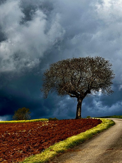Baselland, Tre, Sveits