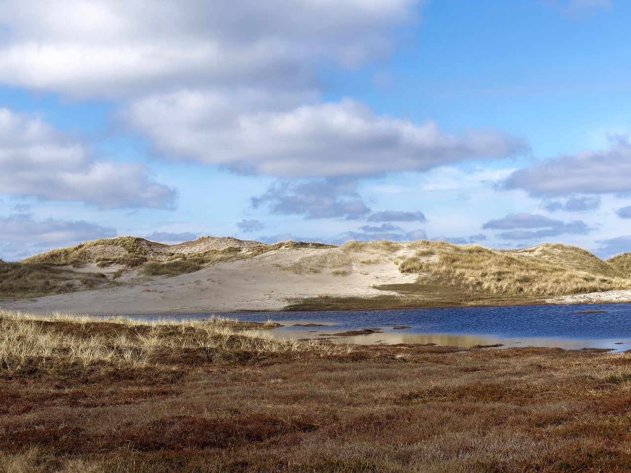 Dunes De Sable Paysage - Photo gratuite sur Pixabay - Pixabay