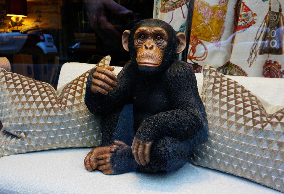 Syte Monkey Monkey Chimpanzee The Mascot - Free photo on Pixabay - Pixabay