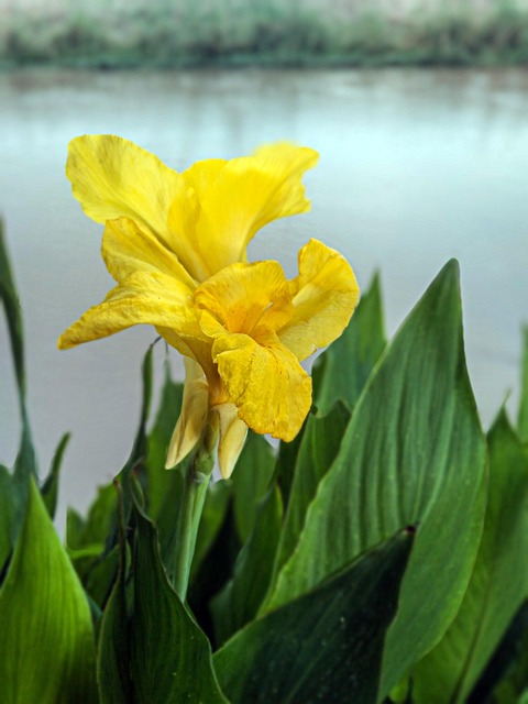 Free Natural Beauty Beautiful photo and picture