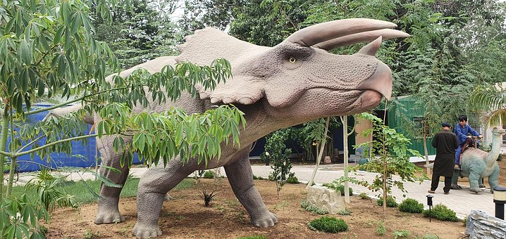 Free Dinosaur Dino photo and picture