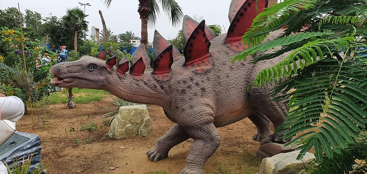 Free Dinosaur Dino photo and picture