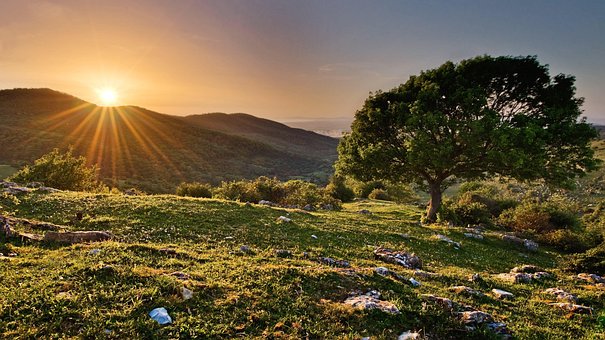 Free Landscape Field photo and picture