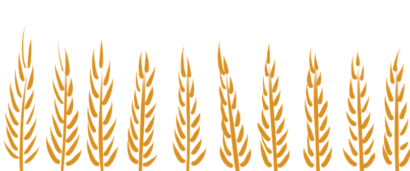 Free Wheat Harvest illustration and picture