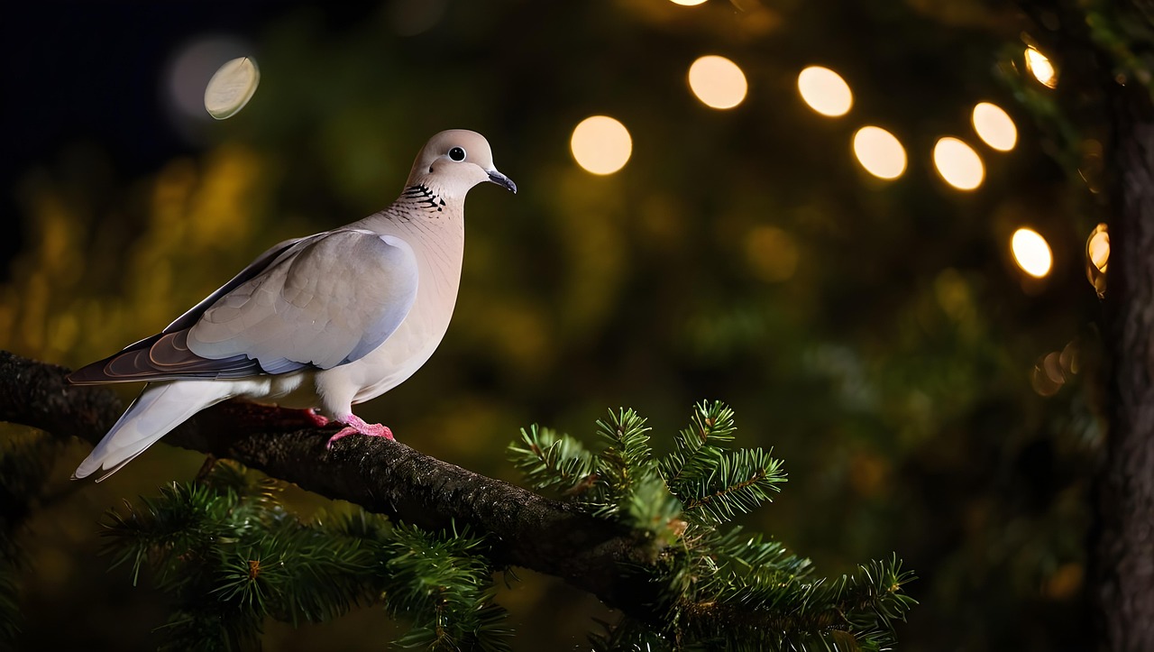 Download Ai Generated Bird Night Royalty Free Stock Illustration download-ai-generated-bird-night-royalty-free-stock-illustration