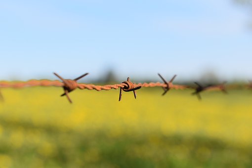 Free Field Nature photo and picture