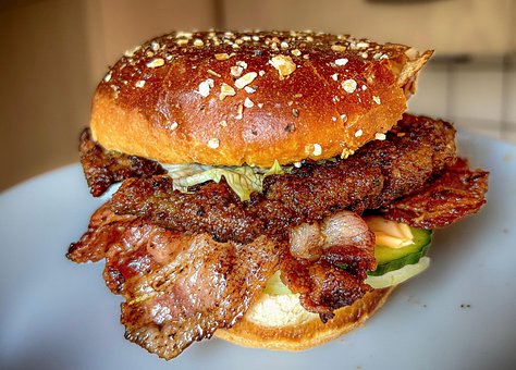 Free Burger Hamburger photo and picture