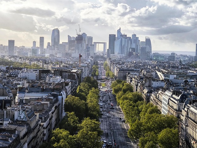 Free skyscrapers road paris illustration