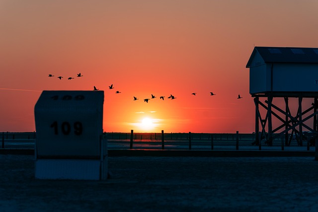 Free Beach Sun photo and picture