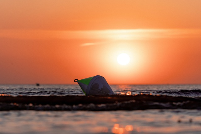 Free Beach Sun photo and picture