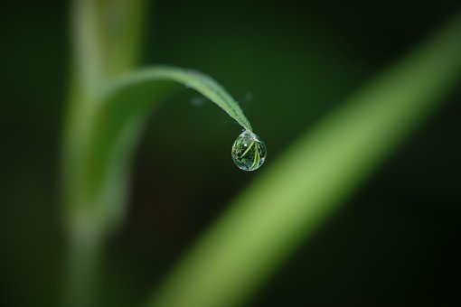 Free Waterdrop Drop photo and picture