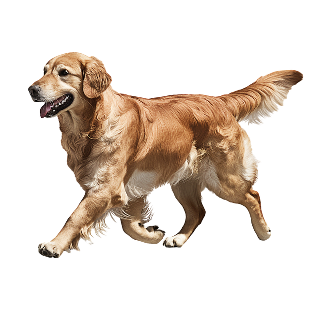 Free ai generated golden retriever dog illustration