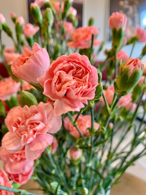 Free Flower Flowers photo and picture