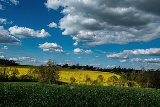 Naturaleza, Paisaje, Rural, Pre, Prairie