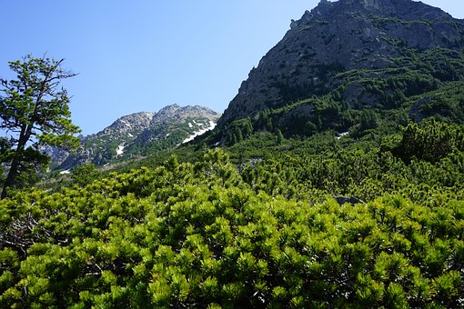 Free High Tatras Mountains photo and picture