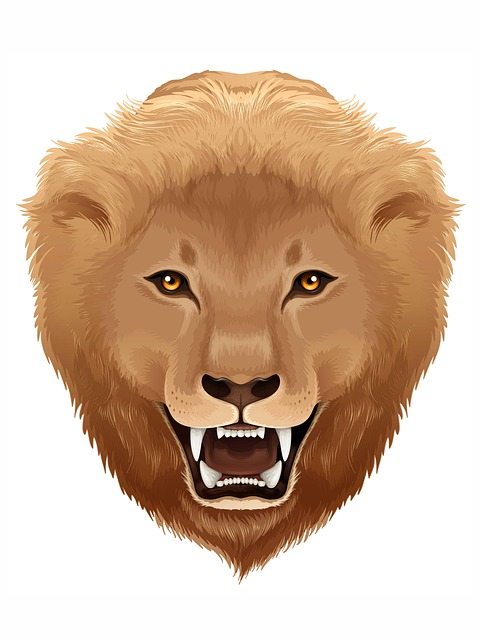 León, Animal, Cabeza, Fauna Silvestre