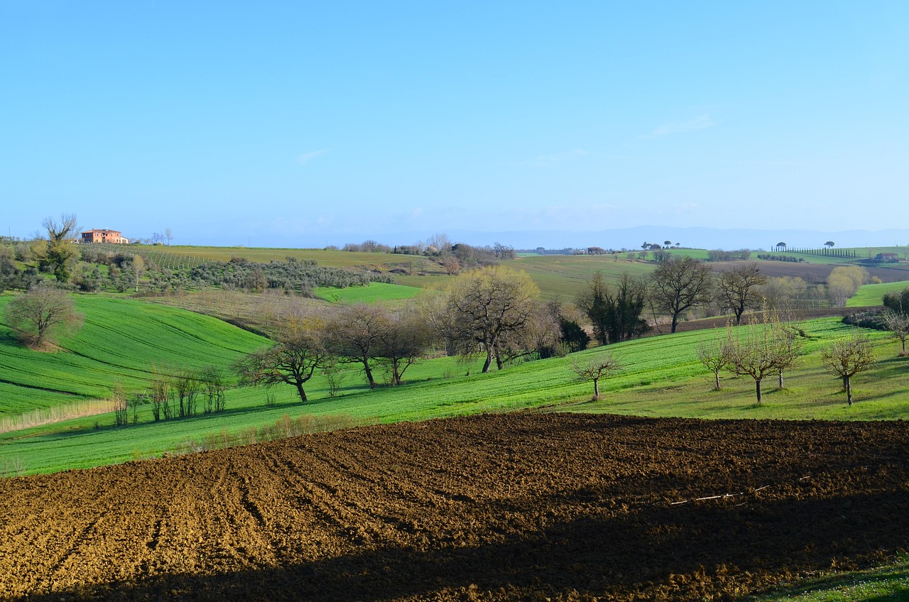 De Campagne La Nature Paysage - Photo gratuite sur Pixabay