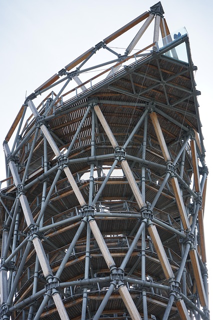 Free The Tower Lookout Tower photo and picture