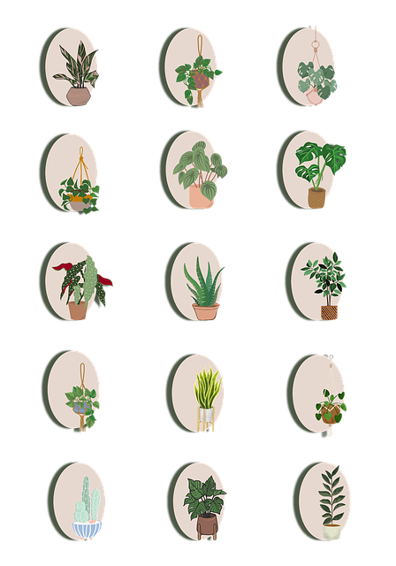 Botanique Plantes Ic ne Image Gratuite Sur Pixabay Pixabay botanique-plantes-ic-ne-image-gratuite-sur-pixabay-pixabay