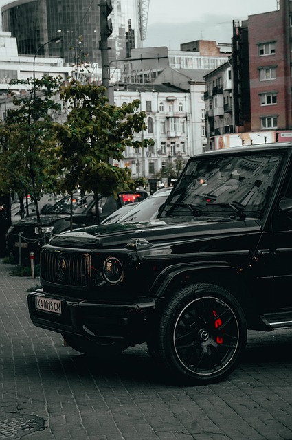 Free Mercedes Mercedes Benz G Class photo and picture