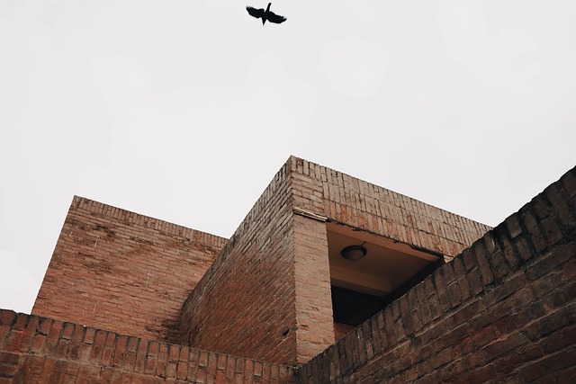 Perspectiva, Edificio, Arquitectura