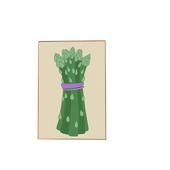 Free Asparagus Asparagus Seeds illustration and picture