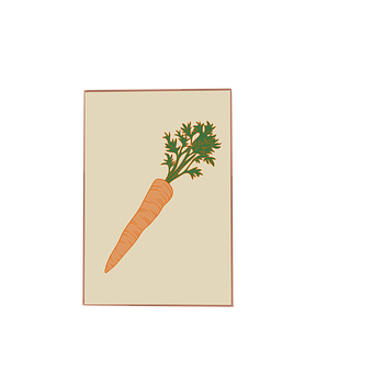 Free Carrot Seeds Carrot Seed Packet illustration and picture