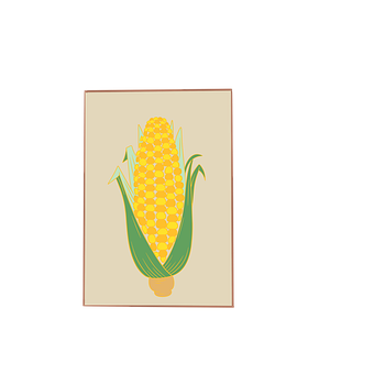 Free Corn Corn Seeds illustration and picture