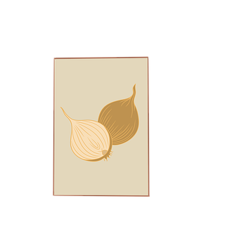 Free Onion Onion Seeds illustration and picture