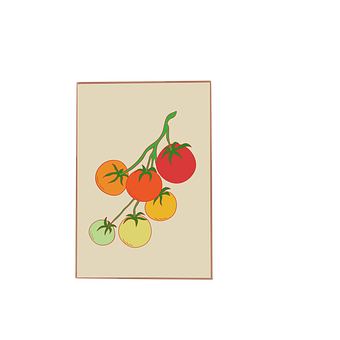 Free Tomato Tomatoes illustration and picture
