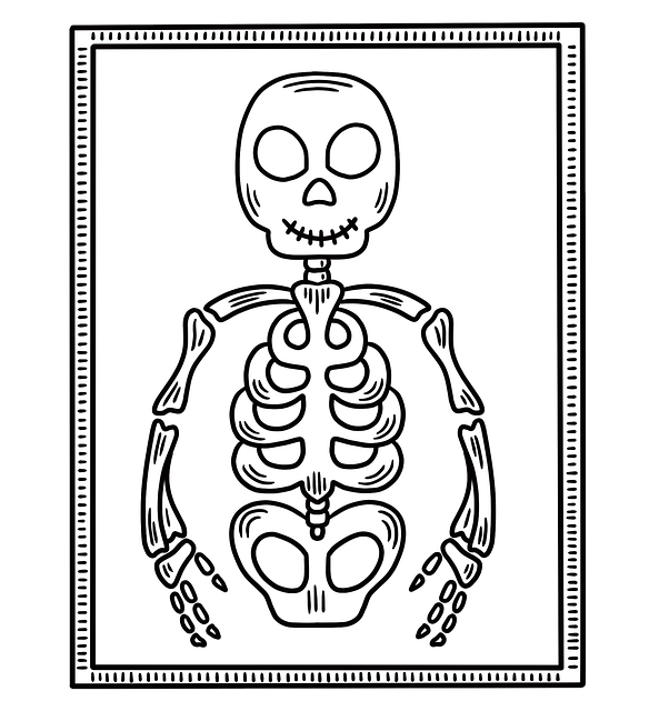 Free x ray medicine health illustration
