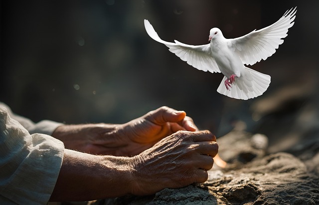 Free pigeon pentecost hand illustration