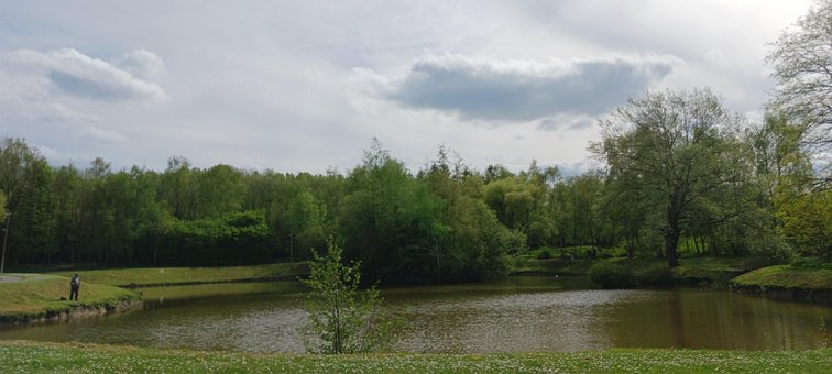Naturaleza, Peces, Pescador, Pesca