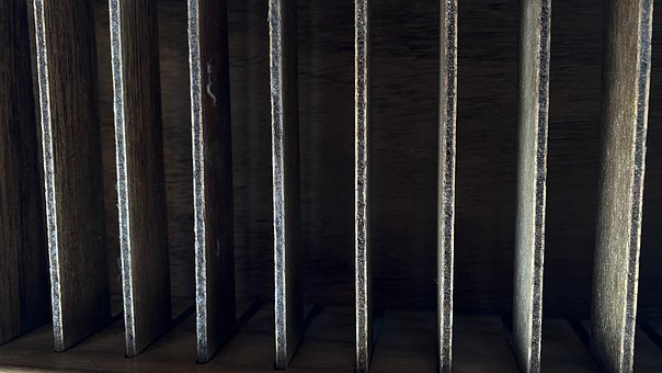 Free Wood Texture photo and picture