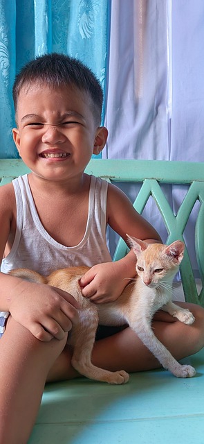 Bonitinho, Gato, Animal, Cachorro