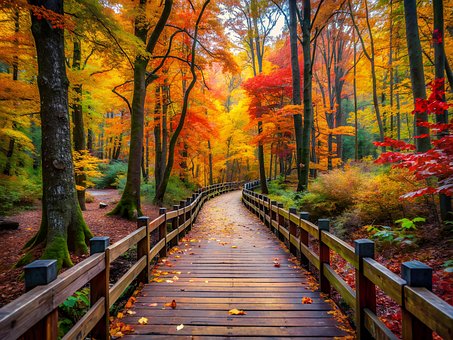 Free Ai Generated Forest illustration and picture