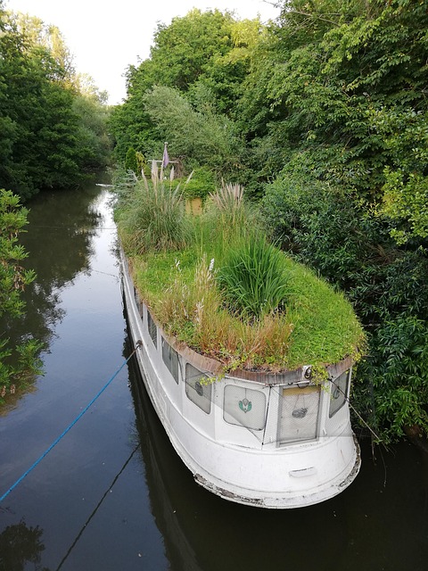 Free Main River photo and picture